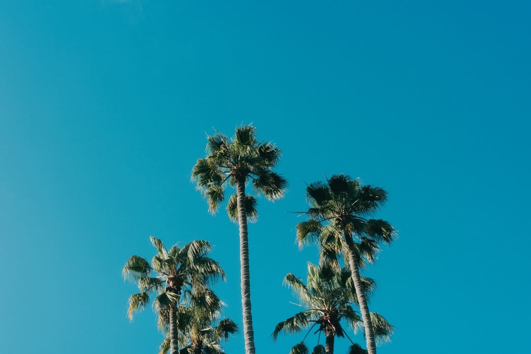 华泰证券：看好价值重估逻辑下的商业地产板块